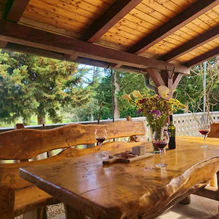 Oasis Tajci *
