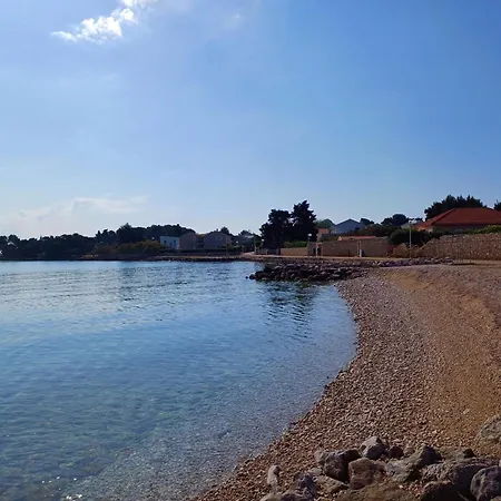Oasis Tajci *
