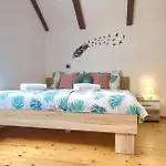 Apartament Oasis Tajci
