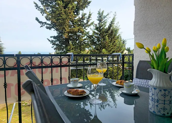 Oasis Tajci