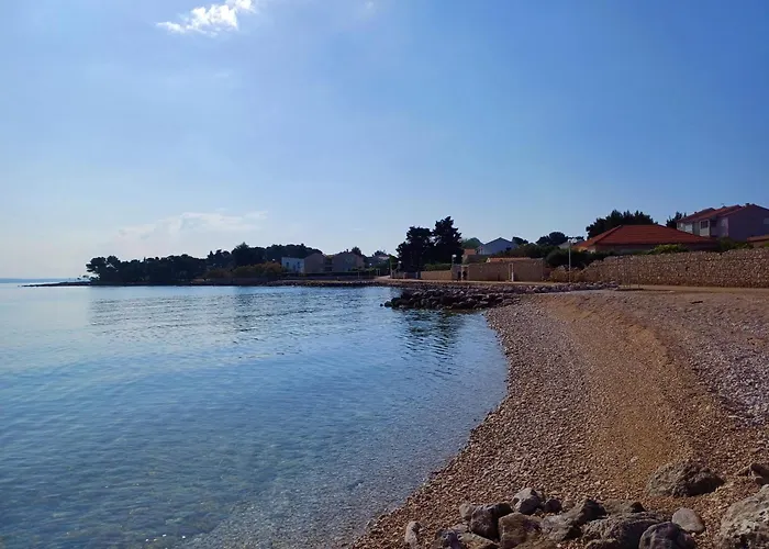 Oasis Tajci *